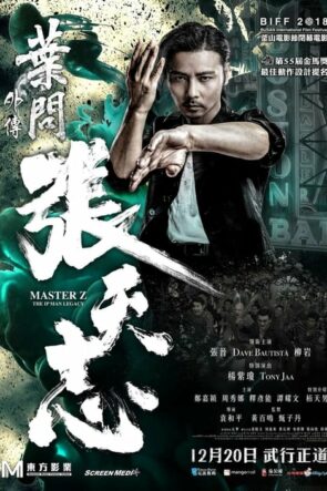 Usta Z: Ip Man’in Mirası